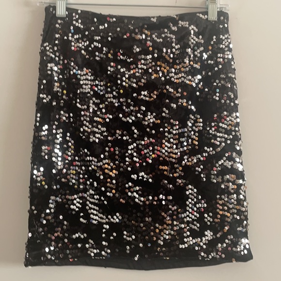 Sequin Skirt - Picture 2 of 3